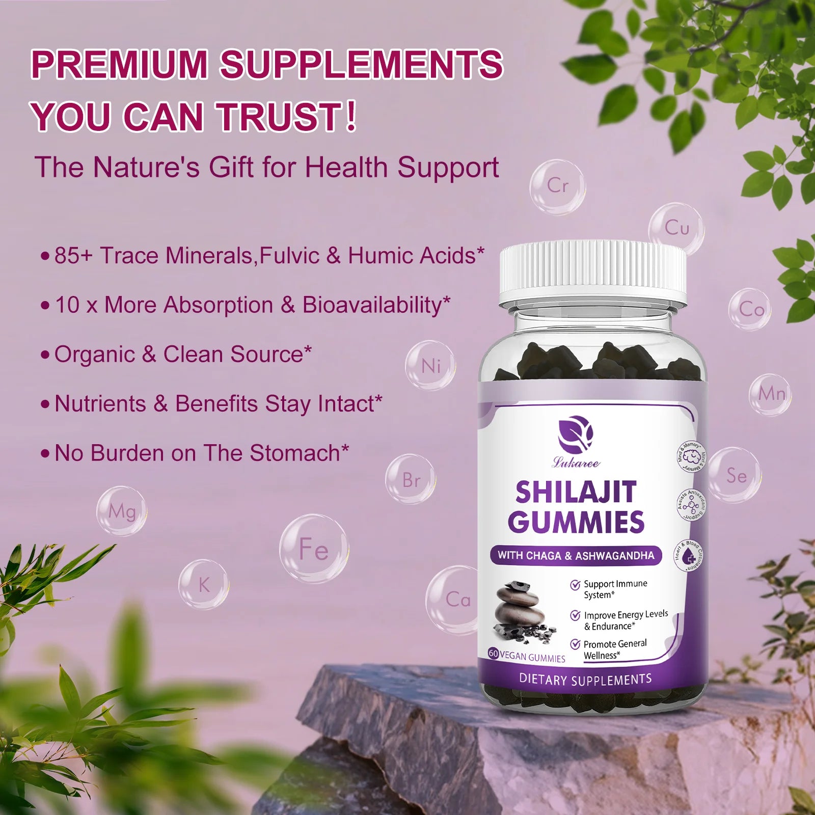 Shilajit Gummies - Himalayan Shilajit Gummies - High Potency for Energy Boost & Immune Support - with Chaga & Ashwagandha